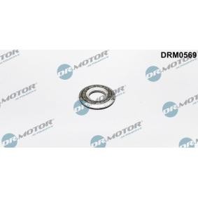 Comprar Junta anular, inyector de DR.MOTOR AUTOMOTIVE DRM0569 a bajo precio de 4,77 €