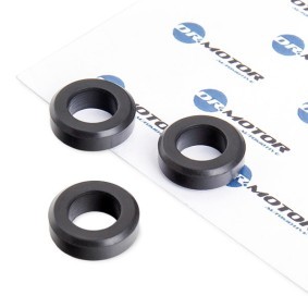 Dichtung Einspritzdüsen von DR.MOTOR AUTOMOTIVE für ECLIPSE IV (DK_A) günstig online kaufen