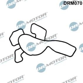 Achetez des Joint d'étanchéité, pompe à eau DR.MOTOR AUTOMOTIVE DRM070 à prix pour 5,99 €