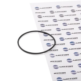 Osta Tiiviste, alipainepumppu DR.MOTOR AUTOMOTIVE:llä DRM0746 edullisesti hintaan 2,17 €
