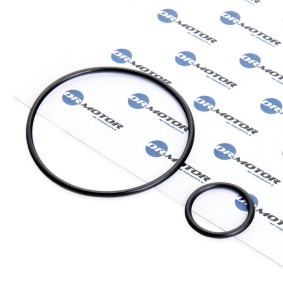 FIAT Dichtungssatz, Ansaugkrümmer von DR.MOTOR AUTOMOTIVE