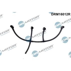 Achetez des Tuyau, carburant de fuite DR.MOTOR AUTOMOTIVE DRM16012R à prix pour 73,44 €