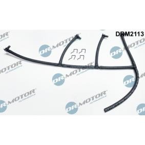Achetez des Tuyau, carburant de fuite DR.MOTOR AUTOMOTIVE DRM2113 à prix pour 38,86 €