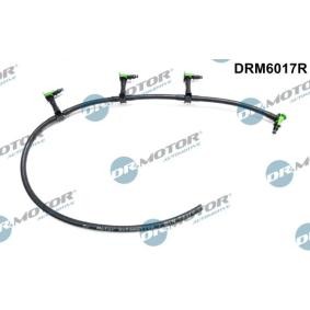 Schlauch, Leckkraftstoff DRM6017R