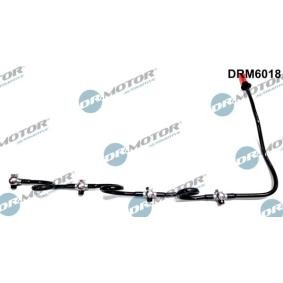 Schlauch, Leckkraftstoff DRM6018