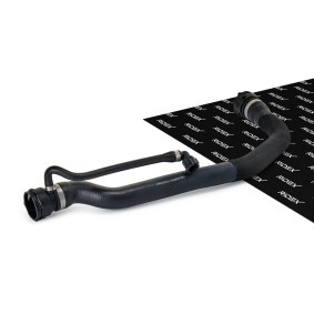 Köp Kylarslang av RIDEX 475R10117 till det låga priset 447,04 kr