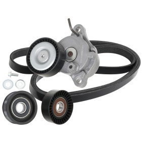 Achetez des Jeu de courroies trapézoïdales à nervures RIDEX 542R0623 à prix pour 78,26 €