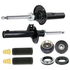 Stoßdämpfer-Set 1185S0011