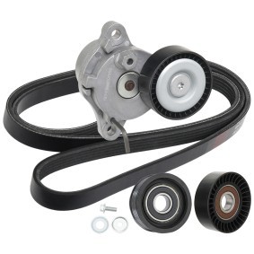 Achetez des Jeu de courroies trapézoïdales à nervures RIDEX 542R0636 à prix pour 75,48 €