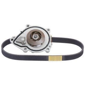 Wasserpumpe + Keilrippenriemensatz 4172P0067 MINI PACEMAN von RIDEX