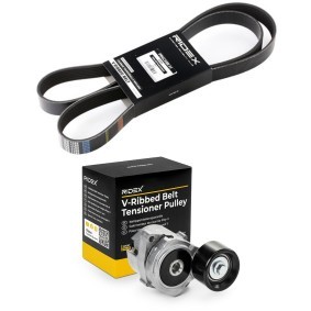 Achetez des Jeu de courroies trapézoïdales à nervures RIDEX 542R0640 à prix pour 49,86 €