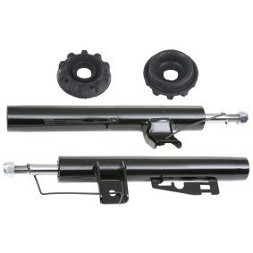 Stoßdämpfer-Set für SMART von RIDEX