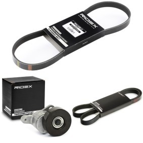 Achetez des Jeu de courroies trapézoïdales à nervures RIDEX 542R0641 à prix pour 68,54 €