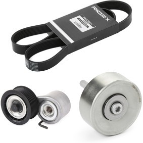 Achetez des Kit de courroie d'accessoire de chez RIDEX en ligne pour Q7 (4MB, 4MG) à prix modérés