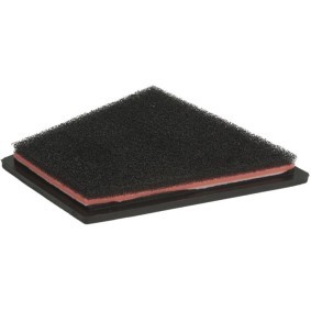 Köp Luftfilter av PIPERCROSS PP1599 till det låga priset 463,09 kr