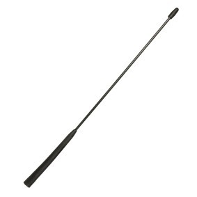 Antenne von WRC