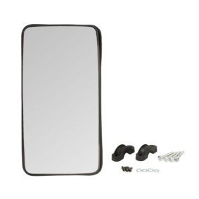 Acquista Specchio esterno, Cabina da RYWAL 7600L a buon mercato per soli 54,11 €