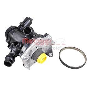 Achetez des Pompe à eau METZGER 4007039 à prix pour 382,96 €