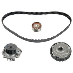 Acquista Kit cinghia distribuzione, pompa acqua da FEBI BILSTEIN 173066 a buon mercato per soli 207,88 €