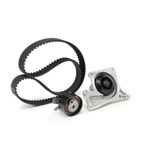 Acquista Kit cinghia distribuzione, pompa acqua da FEBI BILSTEIN 173163 a buon mercato per soli 108,80 €