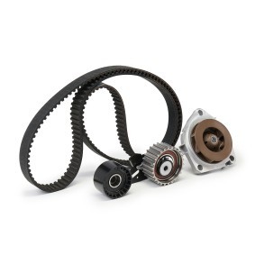 Acquista Kit cinghia distribuzione, pompa acqua da FEBI BILSTEIN 173179 a buon mercato per soli 108,76 €