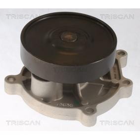 Achetez des Pompe à eau TRISCAN 8600 11062 à prix pour 54,43 €