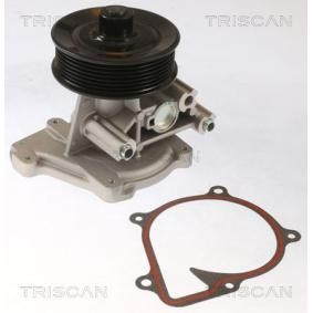 Achetez des Pompe à eau TRISCAN 8600 16074 à prix pour 132,60 €