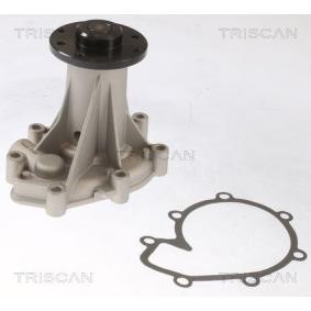 Achetez des Pompe à eau TRISCAN 8600 23091 à prix pour 87,85 €