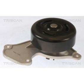 Osta Vesipumppu TRISCAN:llä 8600 25095 edullisesti hintaan 60,31 €
