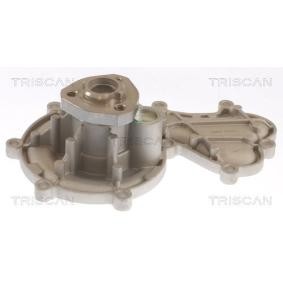 Acquista Pompa acqua da TRISCAN 8600 29096 a buon mercato per soli 67,58 €
