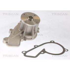 Achetez des Pompe à eau TRISCAN 8600 43030 à prix pour 49,16 €