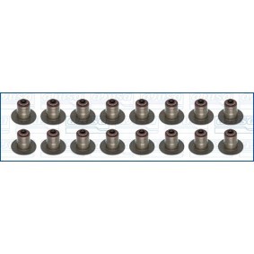 Dichtungssatz, Ventilschaft 57080200