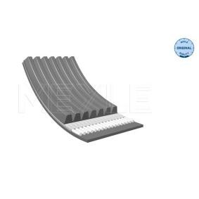 Keilrippenriemen 050 007 1690 für DAF