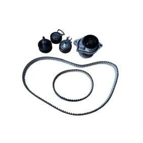 Achetez des Kit de distribution + pompe à eau BUGIAD BTB56509 à prix pour 234,99 €