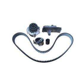Achetez des Kit de distribution + pompe à eau BUGIAD BTB56510 à prix pour 357,49 €