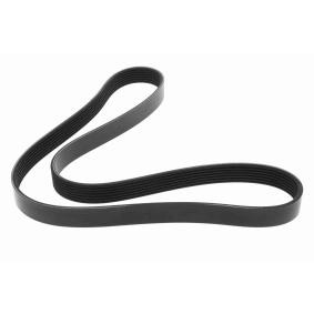 Achetez des Courroie Poly-V VAICO V24-1209 à prix pour 31,23 €
