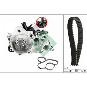 Achetez des Kit de distribution + pompe à eau INA 530 0743 30 à prix pour 190,00 €