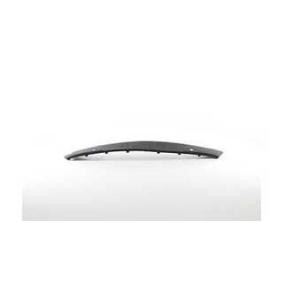 Acquista Mostrina, Paraurti da BSG BSG 65-922-102 a buon mercato per soli 60,08 €
