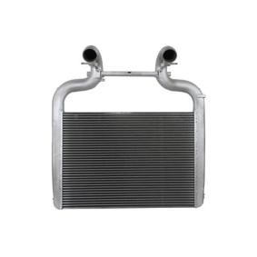 Köp Intercooler av THERMOTEC DADA003TTR till det låga priset 9807,35 kr