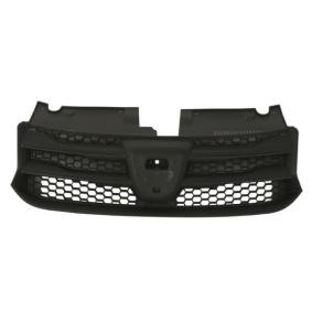 Kühlergrill 6502-07-1303990Q