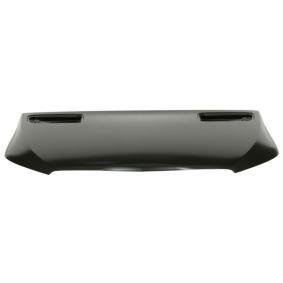 Motorhaube 6803-00-3549281P