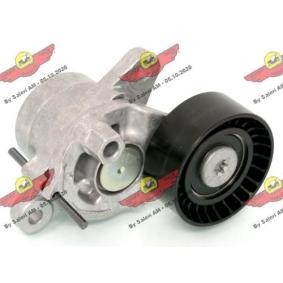 Comprar Brazo tensor, correa poli V de AUTOKIT 03.82186 a bajo precio de 143,17 €