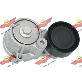 Acquista Braccio tenditore, Cinghia Poly-V da AUTOKIT 03.82196 a buon mercato per soli 110,63 €