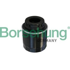 Achetez des Filtre à huile Borsehung B10527 à prix pour 11,44 €