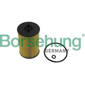 Achetez des Filtre à huile Borsehung B10532 à prix pour 9,50 €