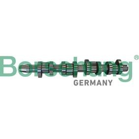 Acquista Albero a camme da Borsehung B11306 a buon mercato per soli 293,49 €
