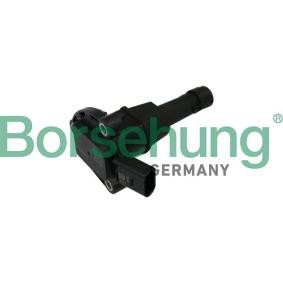 Comprar Sensor, nivel de aceite del motor de Borsehung B11841 a bajo precio de 82,31 €