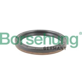 Wellendichtring, Differential von Borsehung