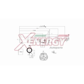 Stoßdämpfer von AP XENERGY