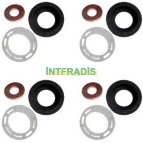 Compre Jogo de juntas, injectores da INTFRADIS 10199K4 a um preço baixo por 20,02 €